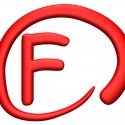 The Four F words that you need for a fantastic business!