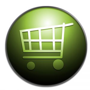 Creating an eCommerce Website