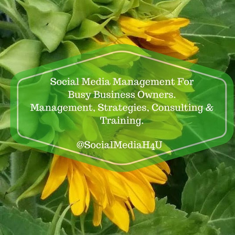 The Benefits Of Hiring A Virtual Social Media Manager